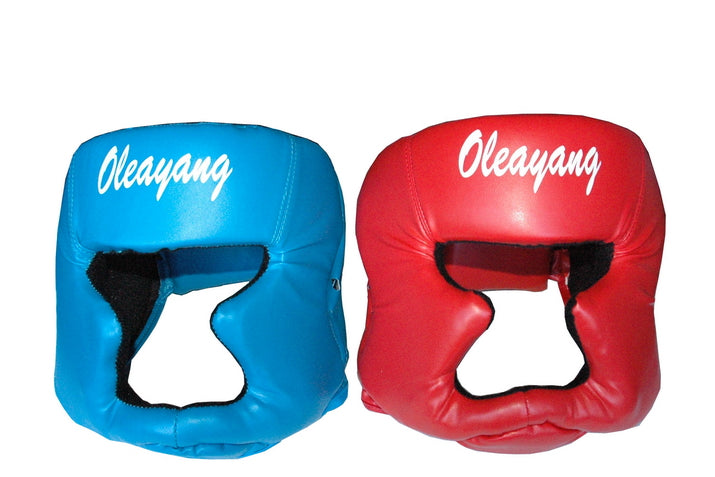 Boxing/Jousting Helmet